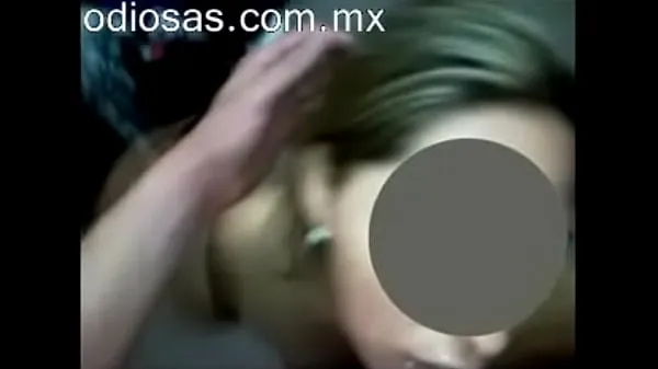 Melhores clipes de Professor de chihuahua, parte 2 Vídeos