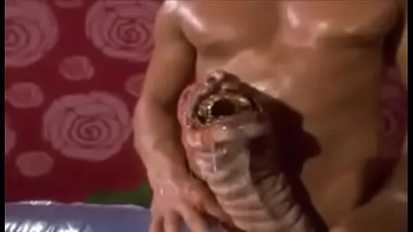 Video klip Monster Penis WTF terbaik